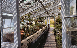 The greenhouse where Darwin's botanical experiments took place.
